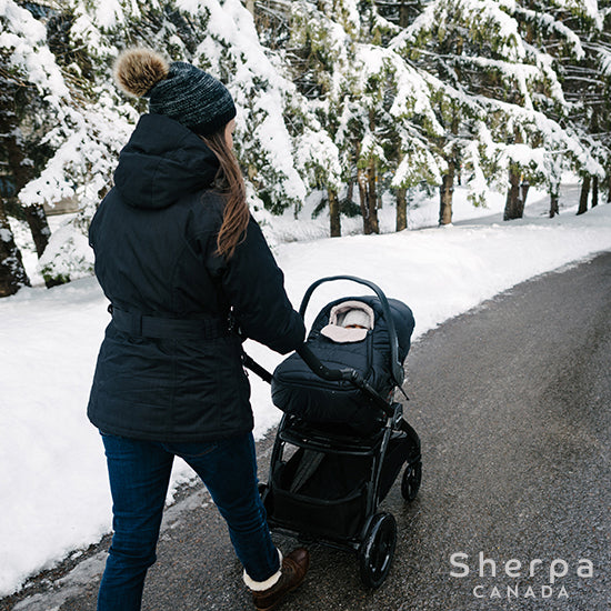 Best stroller for canadian incredible winter